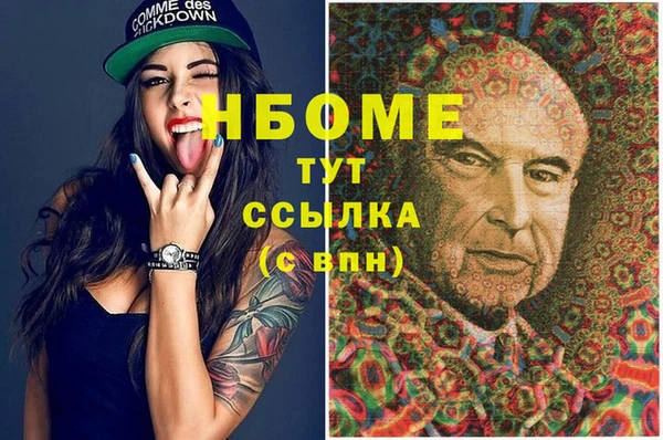 соль ск Вяземский